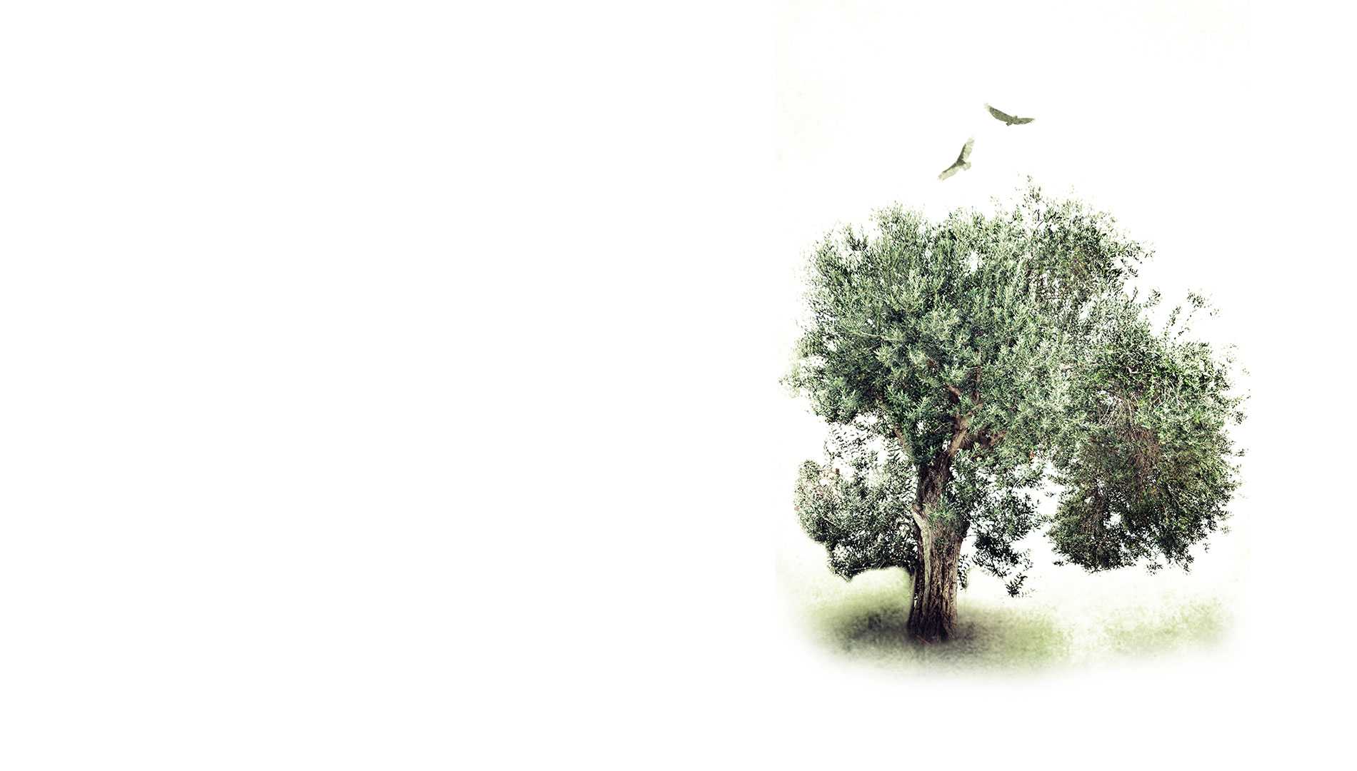 parallax background
