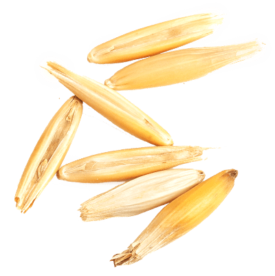 estratto-avena